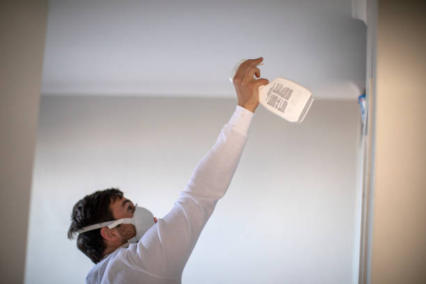 Best Residential Mold Remediation in Harrington, DE