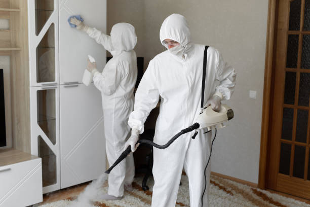 Trusted Harrington, DE Mold Remediation Experts