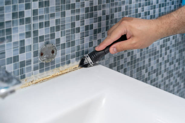 Best Basement Mold Remediation in Harrington, DE