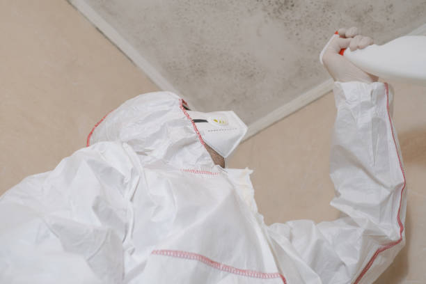 Best Industrial Mold Remediation in Harrington, DE